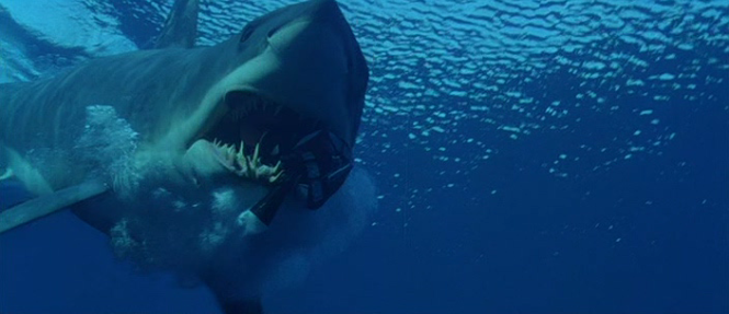 Cảnh trong phim Deep Blue Sea - Ảnh Cắt từ video