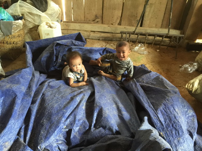 Những đứa trẻ của thôn Sủng Hoảng 2 đang chơi đùa tại các điểm lánh nạn sau lũ - Ảnh X. LONG