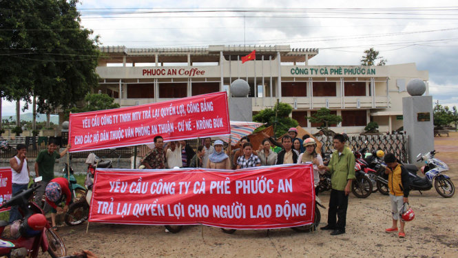 Dân BT 1-3 : Các hộ dân liên kết căng bạt, băng rôn trước cổng Công ty TNHHMTV cà phê Phước An để đòi quyền lợi - ẢNH: THÁI THỊNH