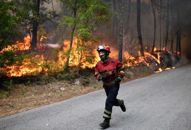 Một nữ cảnh sát chữa cháy làm nhiệm vụ ở Torredeita gần Viseu - Ảnh: AFP