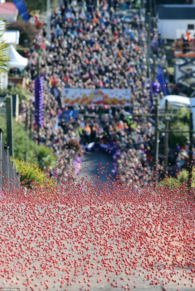 Khán giả đang theo dõi hàng ngàn viên kẹo Jaffa đua nhau lăn xuống con đường Baldwin Street ở thành phố Dunedin, New Zealand.