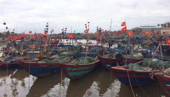 Nhiều tàu thuyền đã trở về neo đậu an toàn tại các bến cảng của Hải Phòng trước khi bão số 3 đổ bộ - Ảnh: HOÀNG QUYÊN