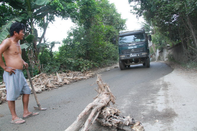 Ông Ngô Tấn Nam (trú tại xã Hòa Nhơn) đã lấy mấy gốc cây trong vườn ra bỏ ngang giữa đường yêu cầu các chủ xe chạy chậm lại - Ảnh: HỮU KHÁ