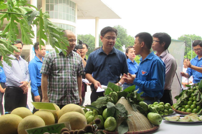 Bí thư Thành đoàn Hà Nội cùng các giáo sư, tiến sĩ ngành nông nghiệp cùng tham quan các gian hàng trưng bày các mô hình rau, củ, quả sạch của sinh viên Học viện Nông nghiệp  - Ảnh: HÀ THANH