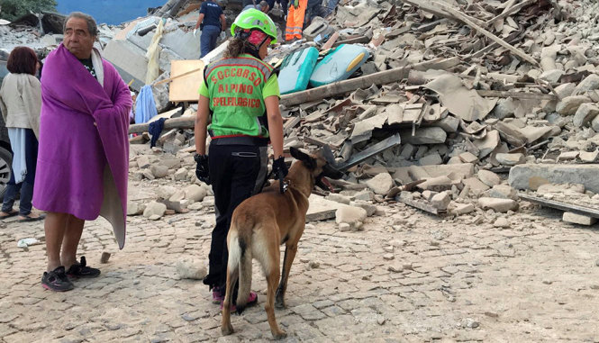 Chó nghiệp vụ được lực lượng cứu hộ sử dụng để tìm kiếm người trong đống đổ nát - Ảnh: REUTERS