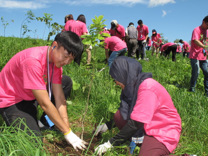 Các đại biểu tham gia trồng 600 cây xanh tại thành phố Hokkaido, Nhật Bản - Ảnh: CÔNG NHẬT