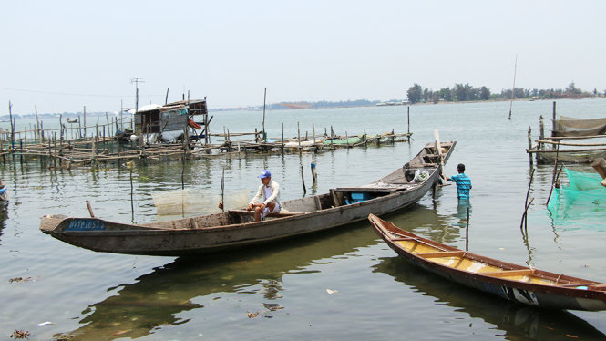 Ngư dân nuôi cá ở vùng cửa biển Thuận An (Thừa Thiên - Huế) đang trông chờ người tiêu dùng ăn cá trở lại để tiếp tục sản xuất - Ảnh: MINH TỰ
