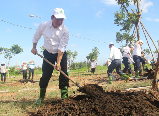ÔNG Đinh La Thăng, bí thư Thành ủy TP.HCM trồng cây trong lễ trồng cây chào mừng ngày Quốc khánh 2-9 - Ảnh: M.P