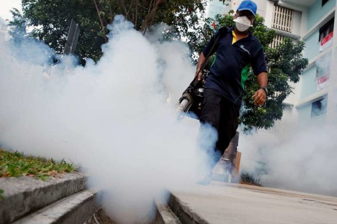 Diệt muỗi để phòng chống Zika tại một tòa nhà ở Singapore ngày 1-9 - Ảnh: Reuters
