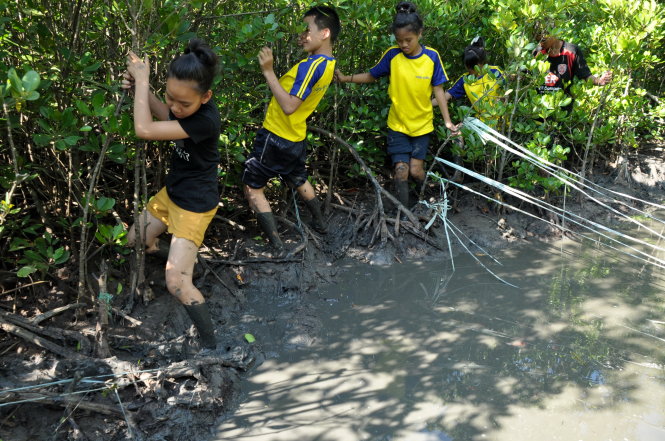 Các bạn trẻ thám hiểm rừng ngập mặn Cần Giờ - Ảnh: QUANG ĐỊNH