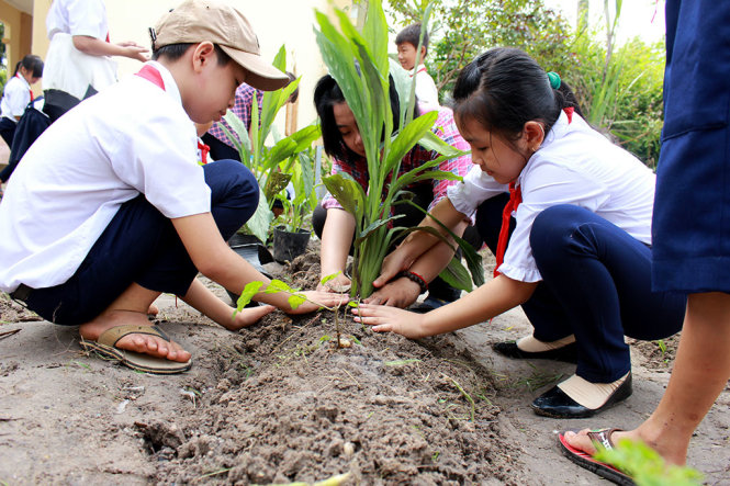 Học sinh trồng cây thuốc nam trong vườn trường