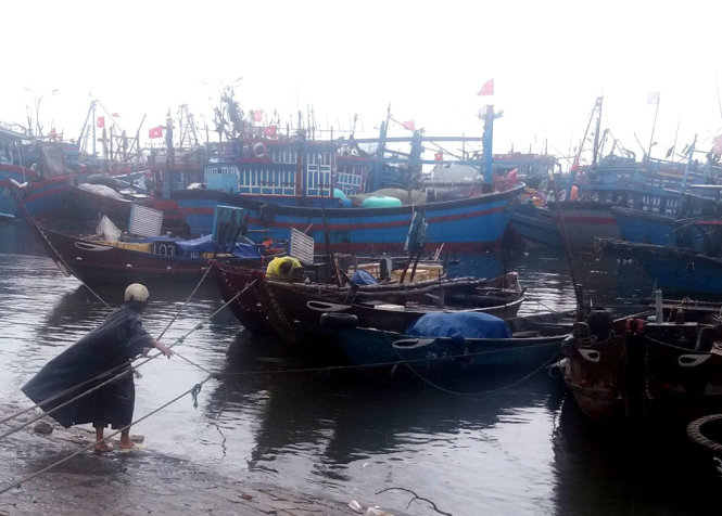 Ngư dân Đà Nẵng neo đậu tàu cá để phòng, chống bão - Ảnh: ĐOÀN CƯỜNG