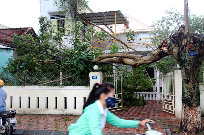 Cây ập vào nhà dân trên đường Lê Huân, TP Huế - Ảnh: MINH AN