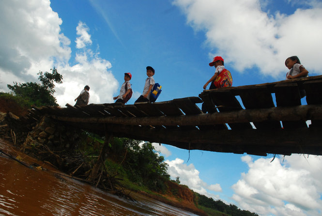 Tốp học sinh con em người Tày, Nùng ở thôn 1C Bình Sơn đánh liều đi trên cây cầu tạm bắc qua suối Bình Sơn để đến lớp