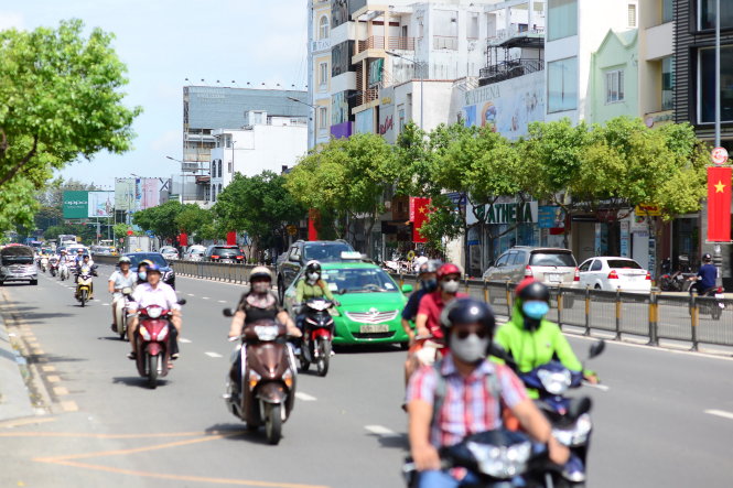 Hai hàng cây long não trên đường Nguyễn Văn Trỗi, Q. Phú Nhuận, TP.HCM (ảnh chụp trưa 18-9) - Ảnh: QUANG ĐỊNH