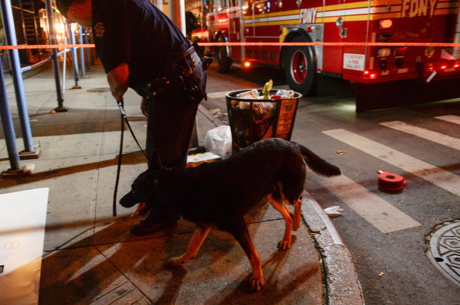 Chó nghiệp vụ được đưa đến hiện trường vụ nổ vào rạng sáng 18-9 để truy tìm thủ phạm vụ đặt bom - Ảnh: Reuters