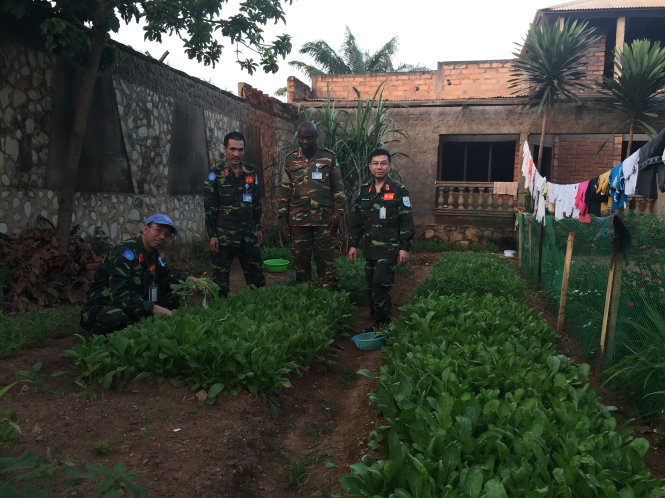 Ba sĩ quan VN cùng một nhân viên Liên Hiệp Quốc bên vườn rau tự trồng - Ảnh: H.T.K.