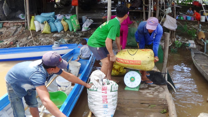 Cân cua đồng của người dân Campuchia mang xuống bán - Ảnh: Bửu Đấu