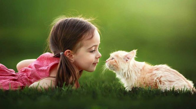 Trẻ em yêu thương thú cưng: Bạn yêu trẻ con và bạn yêu thú cưng? Hãy xem hình ảnh này và cùng trải nghiệm niềm vui khi trẻ em đáng yêu của chúng ta hòa mình cùng các vật nuôi. Sẽ có nhiều nụ cười và hạnh phúc đang chờ đợi bạn trong ảnh này!