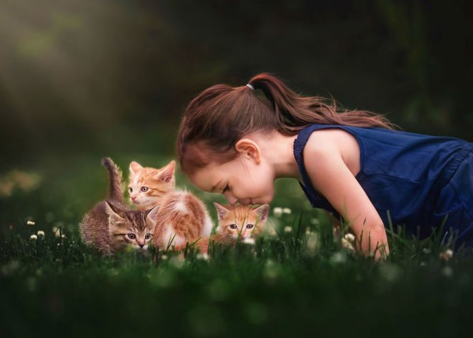 Trẻ em luôn rất yêu thích chơi đùa với chó, mèo, gà và thỏ. Hãy xem hình ảnh của chúng tôi để cảm nhận được tình yêu và sự gần gũi của các em với những con vật đáng yêu này.