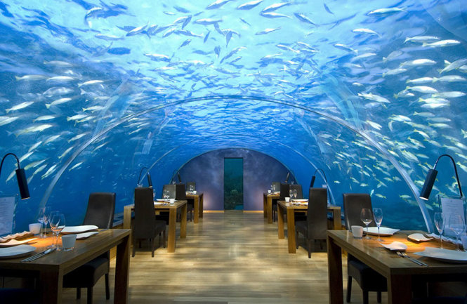 Nhà hàng dưới đáy biển Ithaa ở Alif Dhaal Atoll, Maldives. Nhà hàng nằm sâu dưới biển 5m cho phép du khách khám phá đời sống kỳ thú của các sinh vật biển