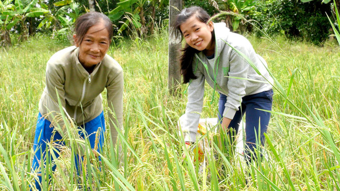 Hai mẹ con bà Đào đang gặt lúa chét -Ảnh: MINH TÂM