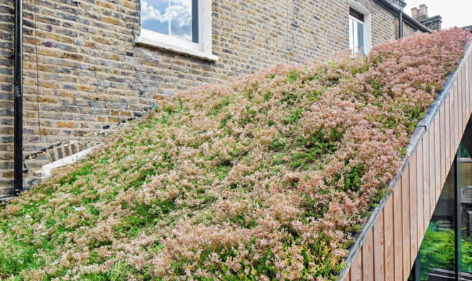 Phần mái phủ kín hoa cỏ, vừa tăng thêm sinh khí cho căn nhà, vừa mang lại nhiều lợi ích về môi trường và tiết kiệm năng lượng.
