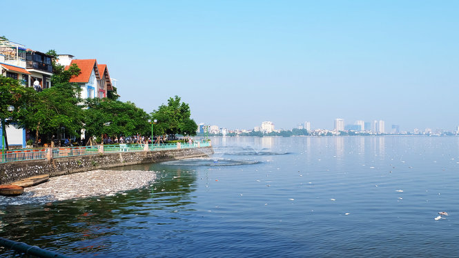 Sáng 3-10, cá chết vẫn tiếp tục nổi trắng hồ Tây sau cả đêm 2-10 các lực lượng đã vớt hàng chục tấn cá chết nổi