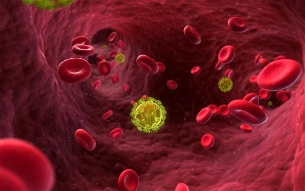 Virút HIV trong máu - Ảnh: Getty Images