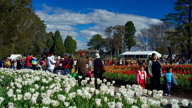 Lể hội hoa Floriade at Canberra ngập tràn du khách.