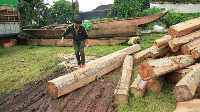 Tang vật vụ vận chuyển gỗ trái phép được đưa về cơ quan chức năng kiểm đếm