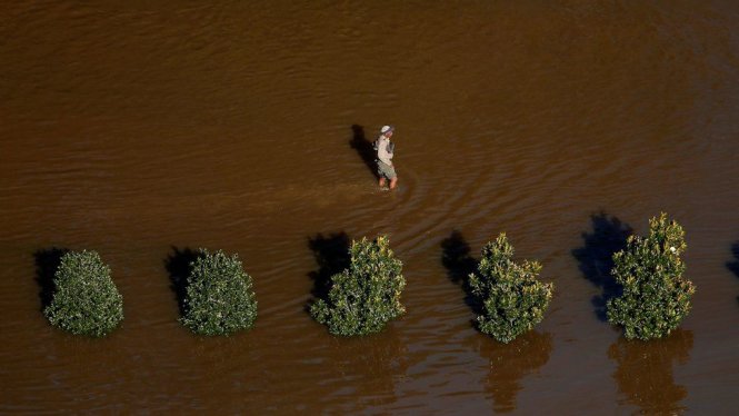 Một người dân ở Lumberton, Bắc Carolina đi qua vùng nước ngập - Ảnh: REUTERS