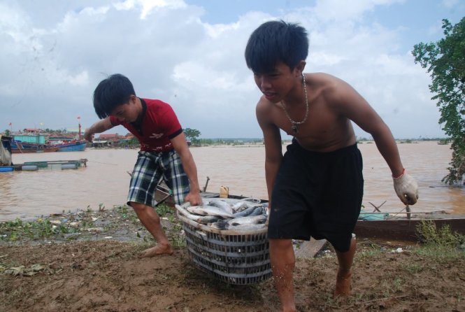 Cá lồng của người dân thôn Cồn Sẻ, xã Quảng Lộc, thị xã Ba Đồn chết hàng chục tấn - Ảnh: QUỐC NAM