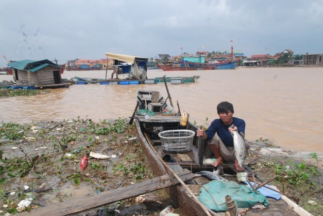 Cá chém chết sau lũ tại xã Quảng Lộc đều từ 2kg trở lên - Ảnh: QUỐC NAM