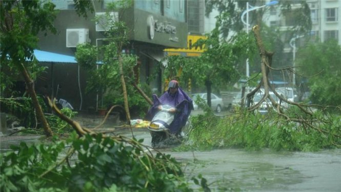Bão giật đổ cây cối ở Hải Nam, Trung Quốc - Ảnh: Getty
