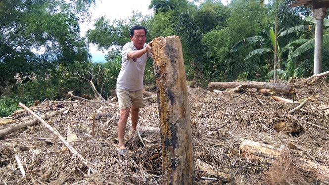 Gỗ rác tràn ngập vườn, ngõ của ông Vinh, ở xóm 7, xã Hương Đê, huyện Hương Khê, tỉnh Hà Tĩnh - Ảnh: VĂN ĐỊNH