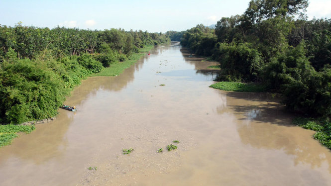 Nước bắt đầu chảy xiết và dâng tại thượng nguồn sông Sài Gòn ở huyện Dương Minh Châu, Tây Ninh - Ảnh: ĐỨC TRONG