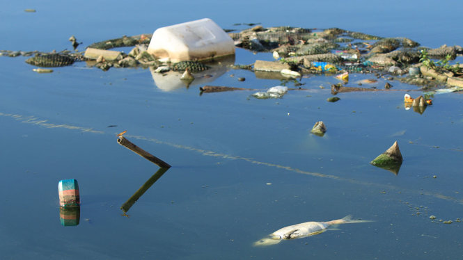 Rác thải nổi đầy ven bờ hồ Linh Đàm - Ảnh : CHÍ TUỆ