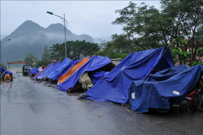 Người dân xã Châu Hóa dựng lều bạt che mưa cho xe máy và trâu bò ở tránh lũ