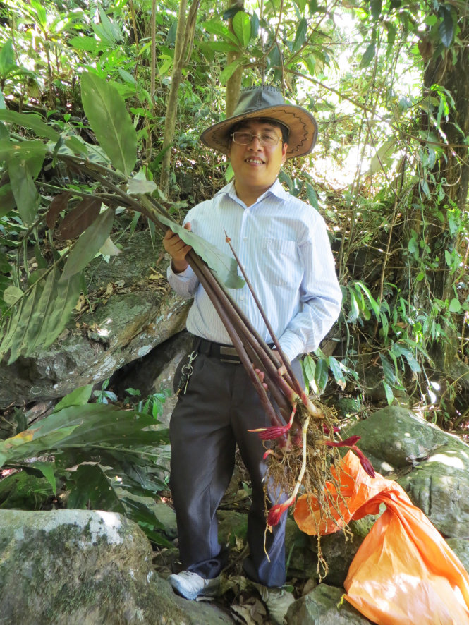 GS Trần Đình Thắng trong một chuyến đi sưu tầm mẫu cây làm tiêu bản nghiên cứu - Ảnh: NVCC