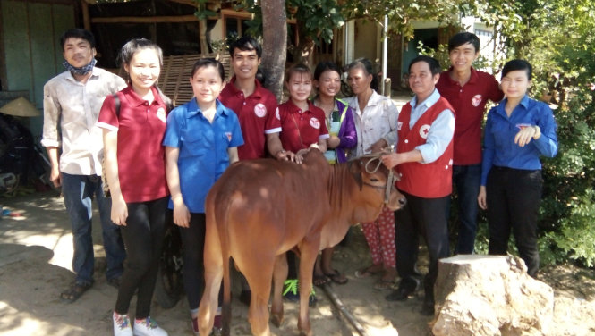 Hình ảnh gia đình “máu nóng” mang cả con bò tặng một gia đình ở Quảng Nam khiến mọi người rất xúc động -
Ảnh: THÙY TRANG