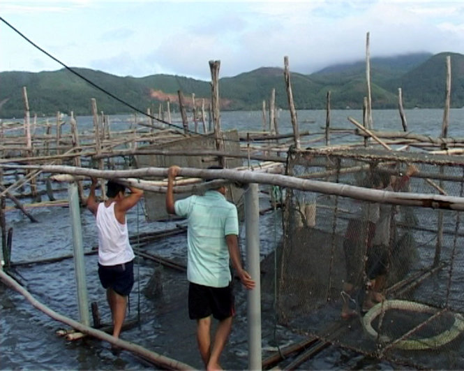 Khu vực nuôi cá lồng trên đầm Cầu Hai của người dân xã Vinh Hiền đang xuất hiện cá chết - Ảnh: CÔNG TUYỂN