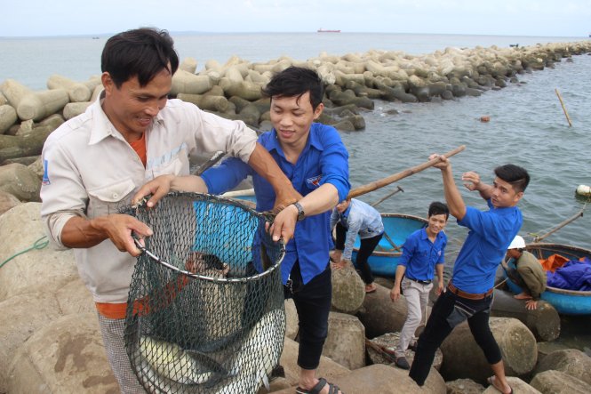Đoàn viên thanh niên cùng người dân chuyển cá từ dưới biển lên bờ - Ảnh: TRẦN MAI