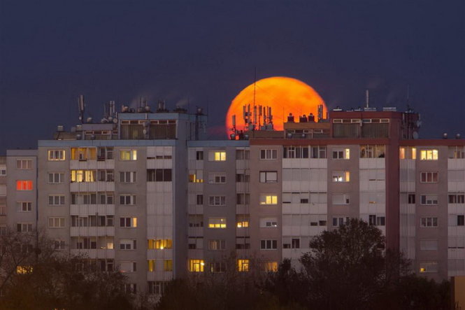 Siêu trăng ở Budapest, Hungary - Ảnh: EPA