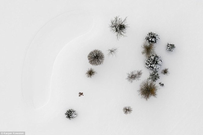 Một bức ảnh chụp Ba Lan mùa đông của Kowalski