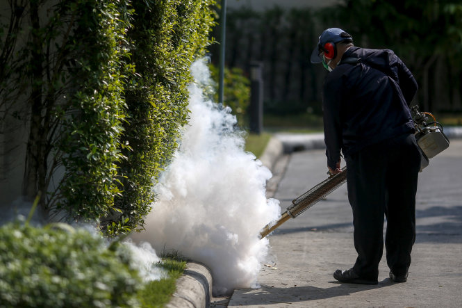Một nhân viên đang phun thuốc diệt muỗi ở thủ đô Bangkok của Thái Lan - Ảnh: Reuters