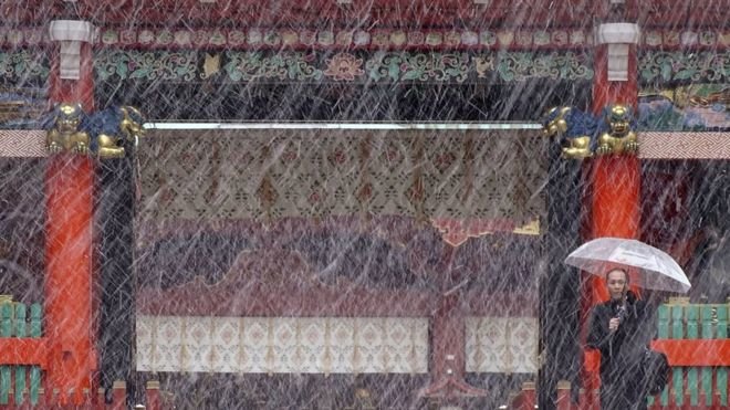Một người dân đứng cạnh đền Kanda Myojin ở Toky dưới tuyết rơi - Ảnh: AP