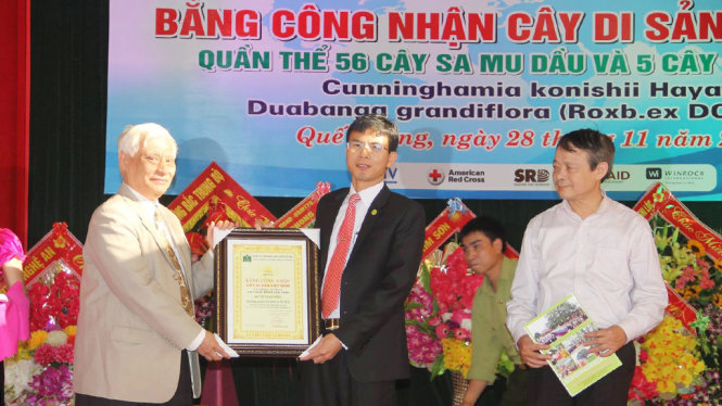 Hội Bảo vệ thiên nhiên và môi trường Việt Nam trao bằng công nhận cây di sản quần thể 56 cây sa mu dầu và 5 cây phay sừng cho đại diện KBTTN Pù Hoạt, huyện Quế Phong (Nghệ An) - Ảnh: CƯỜNG NGUYỄN