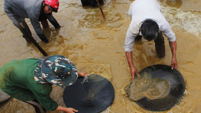 Người dân đổ xô đi mót quặng ở xã Tri Lễ, huyện Quế Phong (Nghệ An) - Ảnh: NGUYỄN HÙNG