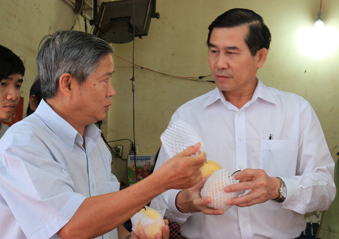 PGĐ Sở NNPTNT Lê Minh Khánh (trái) giải thích với chủ tịch UBND tỉnh Tiền Giang về việc trái cây Trung Quốc sử dụng nhiều hóa chất bảo quản nên để lâu vẫn tươi - Ảnh: V.TR.